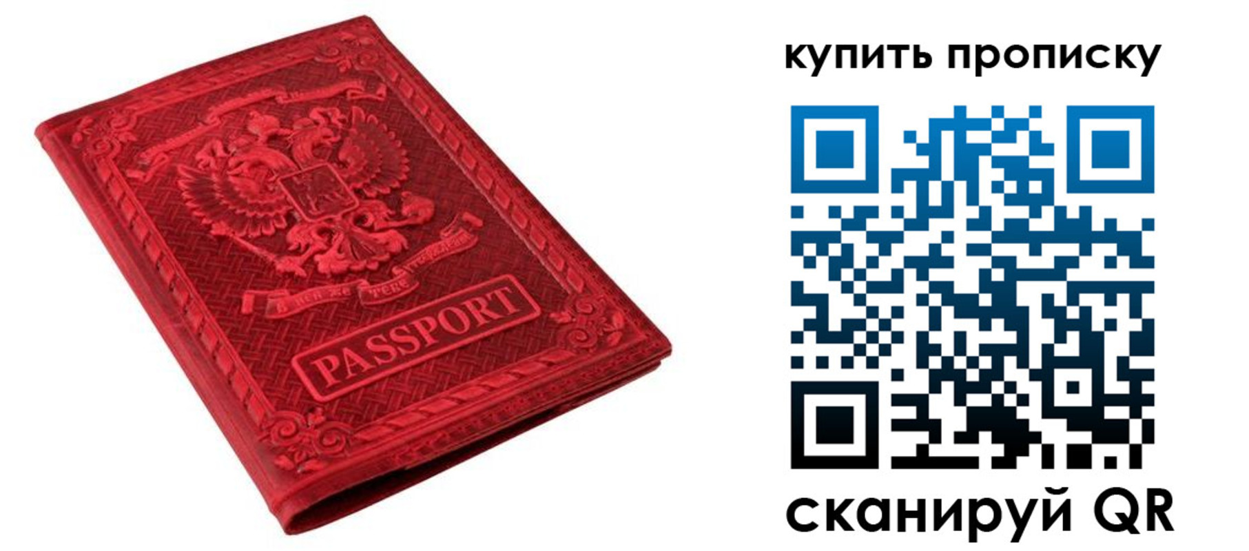 прописка в Североморске